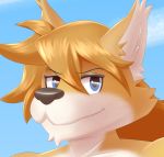  anthro canid canine cropped gobanire looking_at_viewer mammal red_savarin solatorobo video_games 
