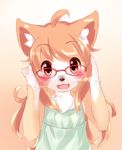  anthro bd_collie blush canine chest_tuft claws clothing dog dress female flat_chested happy kemono loli mammal red_eyes red_glasses tuft young 