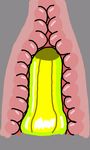  ambiguous_gender anal anal_masturbation anal_penetration animated banana banana_penis cum cum_in_ass cum_inside food fruit internal masturbation penetration simple_background 