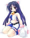  animal_ears artist_request bell bell_collar belly belt cat_ears cat_tail collar cool_&amp;_sexy_(idolmaster) gloves idolmaster idolmaster_(classic) idolmaster_1 kisaragi_chihaya long_hair paw_gloves paws petite shorts solo tail 
