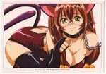  amber_eyes animal_ears blush breasts brown_hair cat_ears cat_tail chain chains cleavage collar elbow_gloves fingerless_gloves glasses gloves green_eyes highres ikkitousen ikkitousen_2 ikkitousen_dragon_destiny leash long_hair moe nekomimi ryuubi_gentoku tail thigh_highs thighhighs yellow_eyes 
