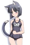  animal_ears artist_request black_school_swimsuit cat_ears kashiwagi_kaede kizuato name_tag one-piece_swimsuit school_swimsuit short_hair solo swimsuit tail 