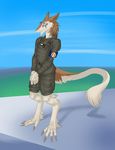  anthro autumm_airwave clothed clothing fur looking_at_viewer male outside sergal solo standing 