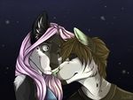  anthro black_nose blue_eyes brown_hair canine clothed clothing dog duo eam0 eyes_closed female green_nose hair male mammal night outside pink_hair sky smile star starry_sky 