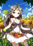  ahoge apple bangs blue_eyes blurry blush breasts brown_hair cleavage closed_mouth cloud collarbone cowboy_shot dango_remi day depth_of_field dress flower food fruit grass head_tilt head_wreath highres leaf long_hair medium_breasts neck_ribbon original outdoors parted_bangs plant red_ribbon ribbon skirt_basket skirt_hold sky sleeveless sleeveless_dress smile solo sunflower white_dress 