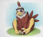  anthro anthrofied avian balls blush covering covering_self digimon dreiker embarrassed erection front_view hawkmon headband humanoid_penis looking_at_viewer male nude partially_retracted_foreskin penis precum sitting solo uncut 