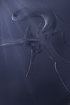  ambiguous_gender blue_theme feral kredri scales sea_monster solo underwater water 