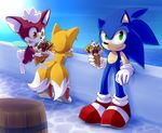  akusuru anthro barrel black_nose canine chip clothing dessert food footwear fox gloves green_eyes group hedgehog ice_cream mammal miles_prower signature smile sonic_(series) sonic_the_hedgehog water yellow_eyes 