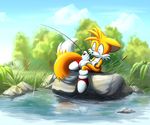  absurd_res anthro black_nose blue_eyes canine clothing cloud detailed dexter01992 fishing footwear fox fur gloves grass hi_res mammal miles_prower outside reflection rock sitting smile sonic_(series) tree video_games water white_fur yellow_fur 