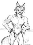  1994 canine clothing doug_winger fox male mammal muscular solo speedo swimsuit 