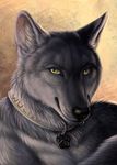  canine collar male mammal pawprint piercing rukis wolf wulfie 