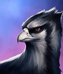  ambiguous_gender avian beak bird black_hair feral hair l1nkoln purple_eyes simple_background solo white_beak 