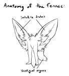  2019 ambiguous_gender canid canine conditional_dnp english_text fennec fox humor mammal ratte solo text what what_has_science_done where_is_your_god_now why 