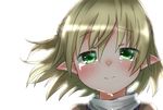  backlighting blonde_hair blush closed_mouth commentary confession crying crying_with_eyes_open dripping good_end green_eyes half_updo happy happy_tears highres kz_oji looking_at_viewer mizuhashi_parsee pointy_ears portrait short_hair smile solo tears touhou turtleneck 
