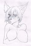  anthro autumm_airwave big_breasts blush breasts canine female looking_at_viewer mammal monochrome open_mouth simple_background sketch solo 