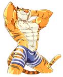  anthro bo-gilliam bulge disney feline male mammal muscular muscular_male stripper_tiger_(zootopia) tiger zootopia 