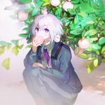  animal animal_on_head animal_on_shoulder artist_name bird bird_on_head bird_on_shoulder eating food fruit honebami_toushirou leaf male_focus namie-kun on_head peach purple_eyes squatting touken_ranbu white_hair 