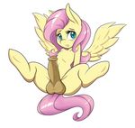  ambris balls blush equine erection fluttershy_(mlp) friendship_is_magic hair male mammal my_little_pony navel pegasus penis pink_hair simple_background solo vein white_background wings 