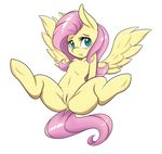  ambris anus blush equine female fluttershy_(mlp) friendship_is_magic hair mammal my_little_pony navel pegasus pink_hair pussy simple_background white_background wings 