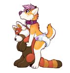  anthro canine collar cub diaper dog fink fur hair husky infantilism kalida male mammal multicolored_fur orange_fur plushie pouting purple_hair red_panda simple_background young 