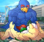 anthro avian bird bulge canine city clothing falco_lombardi fox fox_mccloud frottage grin macro male male/male mammal mayar nintendo sex size_difference speedo star_fox swimsuit video_games wolf_o&#039;donnell 
