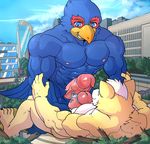  anthro avian bird canine city erection falco_lombardi fox fox_mccloud frottage grin macro male male/male mammal mayar nintendo penis sex size_difference star_fox video_games wolf_o&#039;donnell 