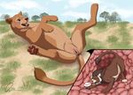  2016 anatomically_correct disney feline female feral fur hi_res ikenna lion macro male male/female mammal micro nala pussy santanni size_difference squish the_lion_king unbirthing vaginal vore 