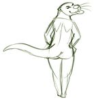  butt looking_at_viewer male mammal monochrome mustelid nude otter shaza_(artist) simple_background sketch solo teasing tongue 