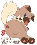  2016 anus balls blue_eyes canine dog feral flat_colors floppy_ears intersex japanese_text lying mammal manmosu_marimo nintendo pok&eacute;mon raised_tail rockruff simple_background solo text tongue tongue_out translated video_games white_background 