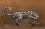  2016 anatomically_correct anchee animal_genitalia balls darius_miu digital_drawing_(artwork) digital_media_(artwork) eyes_closed feline feral fur glowing grey_fur hi_res leopard leopard_spots male mammal nude raised_tail simple_background snow_leopard solo spots spotted_fur 