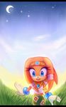  anthro black_nose blue_eyes bracelet clothed clothing crescent_moon eyelashes female gloves grass headband jewelry moon necklace open_mouth outside rainfawn sky smile solo sonic_(series) star starry_sky tikal_the_echidna video_games 