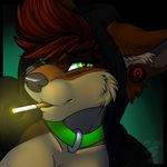  anthro canine cigarette clothing collar female hoodie jackiejackal looking_at_viewer mammal smile solo 