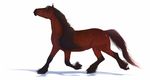  2015 black_fur black_mane black_tail brown_eyes brown_fur cel_shading chistokrovka digital_media_(artwork) draft_horse equine feathering feral fur hooves horse looking_at_viewer male mammal mane multicolored_fur quadruped shadow side_view simple_background solo two_tone_fur walking white_background 