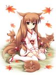  animal_ears fox fox_ears foxgirl japanese_clothes kimono kitsunemimi long_hair miko tail thigh_highs thighhighs 