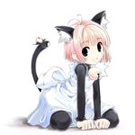 animal_ears bell cardcaptor_sakura cat_ears full_body hiide kinomoto_sakura lowres pantyhose solo tail 