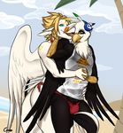  avian beach bulge cerezo dragon gryphon leoketsal male male/male seaside skoop 