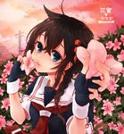  ahoge azalea_(flower) black_serafuku blue_eyes braid brown_hair cable cloud cointreau evening fingerless_gloves flower gloves hair_between_eyes hair_flaps hair_ornament hair_over_shoulder holding holding_flower kantai_collection long_hair looking_at_viewer neckerchief outdoors power_lines red_neckwear remodel_(kantai_collection) school_uniform serafuku shigure_(kantai_collection) sky solo telephone_pole twitter_username upper_body 