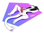  anthro balls erection fur hair laionss looking_at_viewer male nude penis sergal simple_background smile solo white_fur 