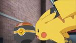  animated animated_gif luxury_ball meowth no_humans pikachu poke_ball pokemon pokemon_(anime) subtitled 