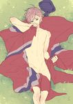  adonis_belt axis_powers_hetalia clenched_hand closed_mouth covering dethmath grass groin hair_ornament hairclip hat hat_removed headwear_removed lying male_focus male_pubic_hair navel nipples norway_(hetalia) norwegian_flag nude on_back perineum pubic_hair purple_eyes smile solo x_hair_ornament 