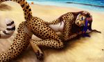  2016 beach blue_eyes breasts butt cheetah etskuni feline female mammal marine nude pussy sand sea seaside spots starfish surody water 