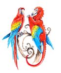  ambiguous_gender avian bird dragon duo feathered_wings feathers feral heather_bruton macaw parrot wings wood 