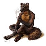  cigarette digitigrade looking_at_viewer mammal marten mustelid nude paws pine_marten smoking tasteful_nudity trunorth yellow_eyes 