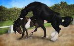  16:10 2014 anal anal_penetration animal_genitalia animal_penis ball_gag balls bdsm big_dom_small_sub blue_sky bondage bound cum cum_in_ass cum_inside cum_on_ground cum_while_penetrated cumshot day digital_media_(artwork) draft_horse duo ejaculation equine equine_penis erection feathering feral feral_on_feral from_behind_position fur gag grass hands-free hooves horse male male/male mammal markings nude orgasm outside penetration penis rufciu saliva sex side_view size_difference sky socks_(marking) sweat 