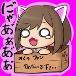  animal_ears box brown_hair chibi commentary_request elma-ds_(dollssong) eyebrows fake_animal_ears fang for_adoption idolmaster idolmaster_cinderella_girls in_box in_container lowres maekawa_miku mikan_box o_o open_mouth purple_background short_hair simple_background solo tears translation_request 