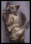  against_wall beer_bottle border butt clothed clothing disembodied_hand drunk duo hyena looking_back male mammal pants_down partially_clothed raised_tail shirt solo_focus standing stripy_yeen tacklebox tank_top tongue tongue_out underwear_pull 