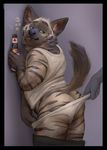  2016 alcohol anthro beer beverage black_nose butt clothed clothing drunk green_eyes grey_background holding_object hyena jockstrap male mammal pants_down partially_clothed pose raised_tail shirt simple_background standing striped_hyena stripy_yeen tacklebox teeth tongue tongue_out underwear 