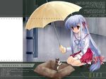  blue_hair box cardboard_box cat for_adoption gift gift_(game) in_container kamishiro_yukari_(gift) long_hair naruse_mamoru rain red_eyes school_uniform solo umbrella wet wet_clothes 