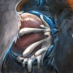  anatomically_correct animal_genitalia animal_penis anthro anthro_on_feral anus bestiality blue_anus blue_pussy canine canine_penis cum cum_in_pussy cum_inside cuntboy duo erection feral forced fox fur hair intersex intersex/male knot male mammal penetration penis pussy rape sex vaginal vaginal_penetration velociawesome wolf 
