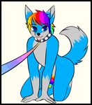  all_fours blue_eyes blue_fur canine collar erection fox fur grey_fur hair humanoid_penis kneeling leash male mammal multicolored_hair multicolored_penis penis rainbow_hair rainbow_penis simple_background solo tongue tongue_out yukiin 